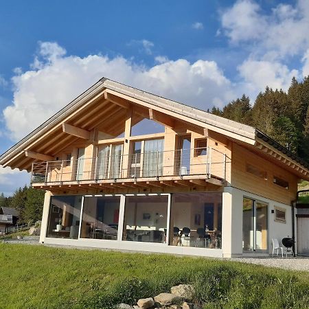 Alpine Dream Chalet With Spa Close To Lake Geneva Les Mosses Kültér fotó