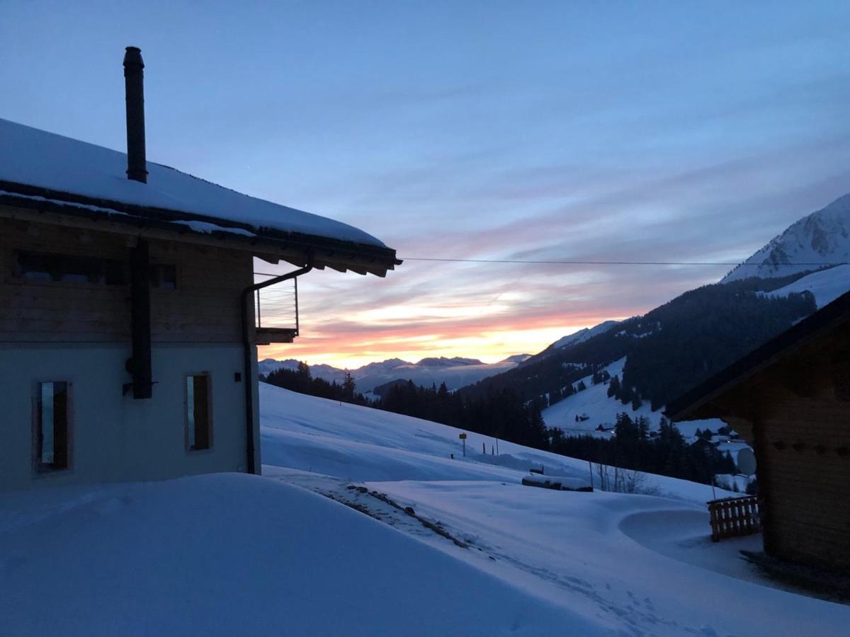 Alpine Dream Chalet With Spa Close To Lake Geneva Les Mosses Kültér fotó