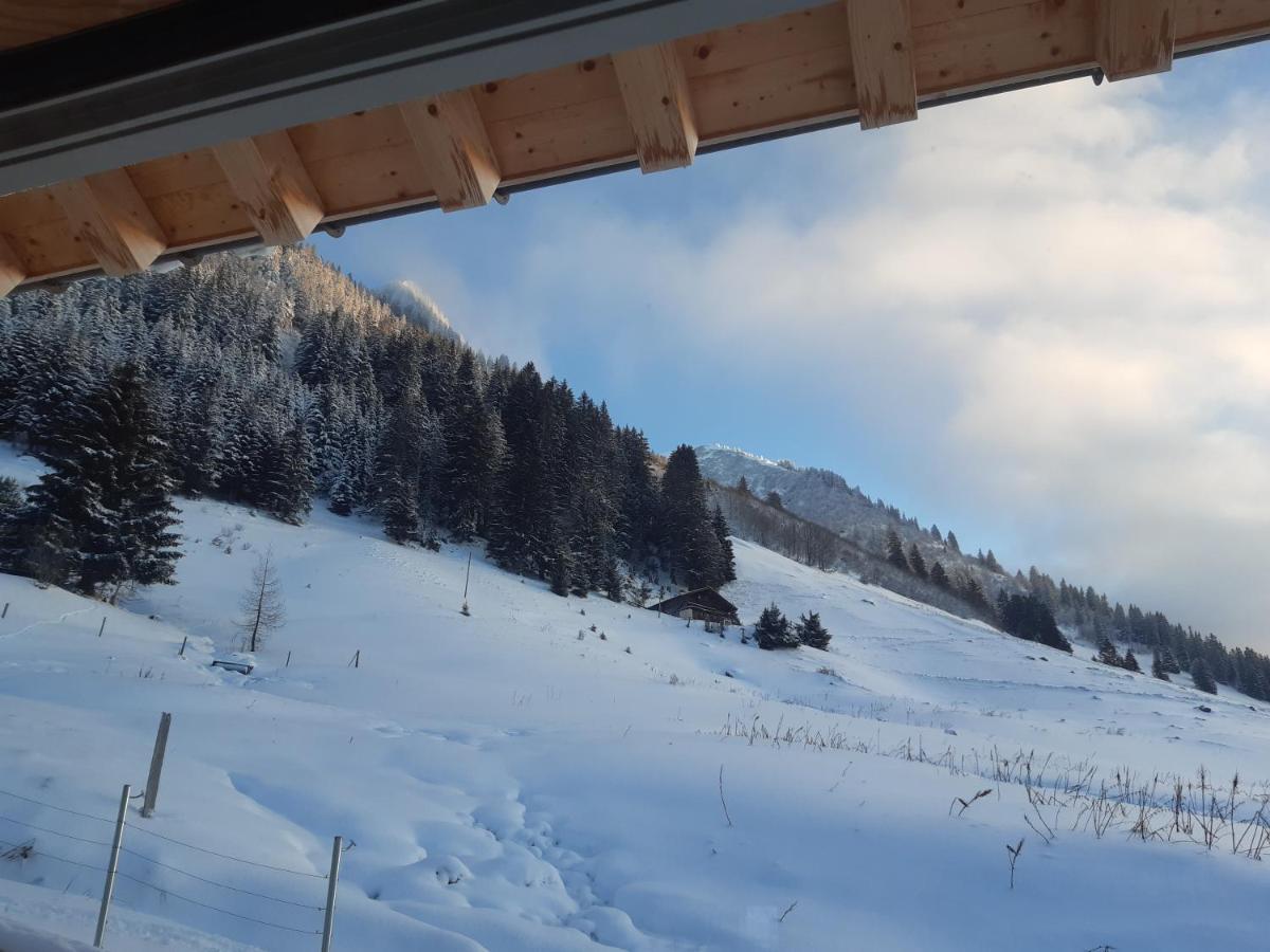 Alpine Dream Chalet With Spa Close To Lake Geneva Les Mosses Kültér fotó